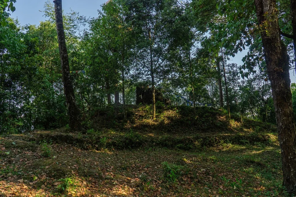 Sunlight filtering through tall trees in Jaldapara National Park, North Bengal, featuring a lush green forest mound and prayer flags. Jaldapara National Park tourism North Bengal – forest trail and greenery in Dooars.
