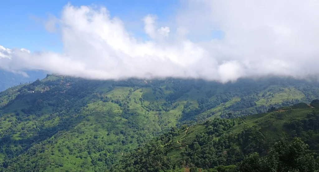 Aerial perspective of Darjeeling tea estates and mountains captured from Darjeeling Cable Car ride.