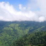 Aerial perspective of Darjeeling tea estates and mountains captured from Darjeeling Cable Car ride.