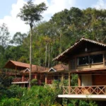 A scenic eco-friendly homestay with wooden cottages surrounded by lush forest greenery - Bhoboghure.in.